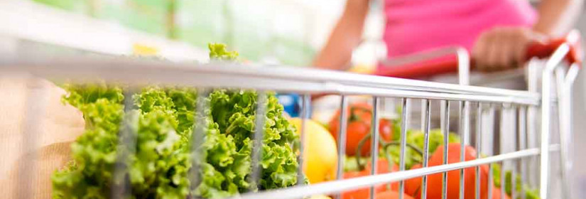 Can You Get Food Stamps in 2025 If You Earn $3,000 a Month? Here’s What SNAP Says About Income Limits