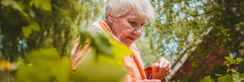 2025 Social Security COLA Slashed: Seniors Brace for Tougher Times